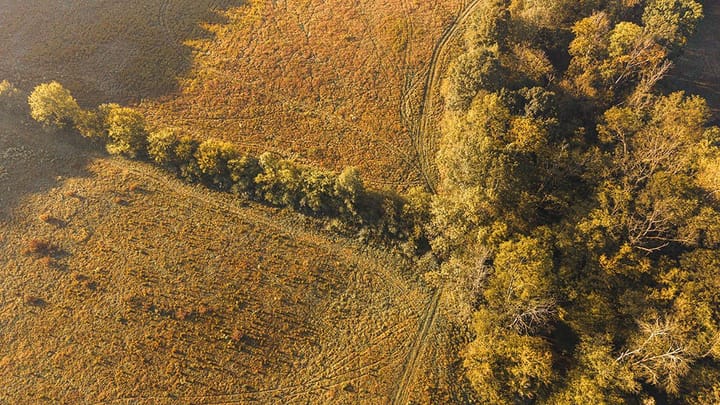 Dji 20261015090720 0049 D