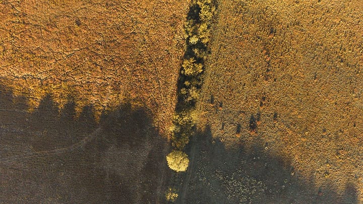 Dji 20261015090652 0047 D