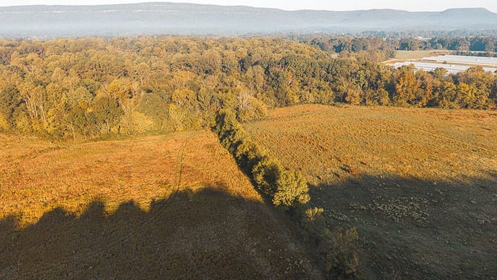 Dji 20261015090611 0045 D
