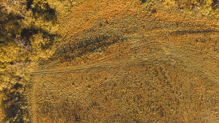 Dji 20261015090713 0048 D