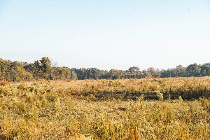 A7406377