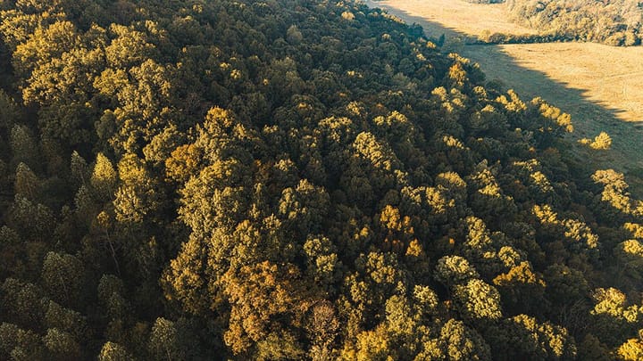 Dji 20261015091103 0067 D