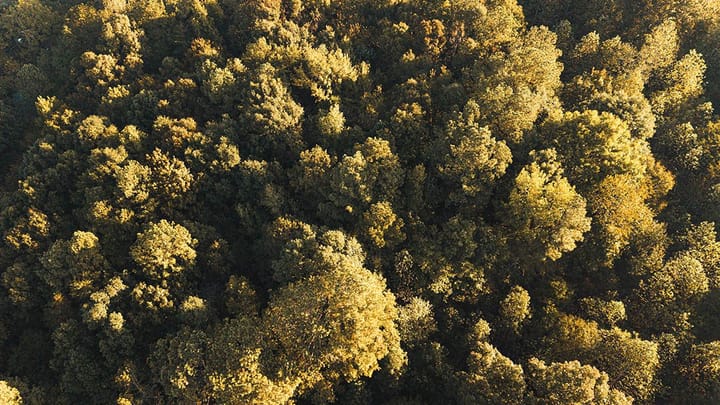Dji 20261015091054 0066 D