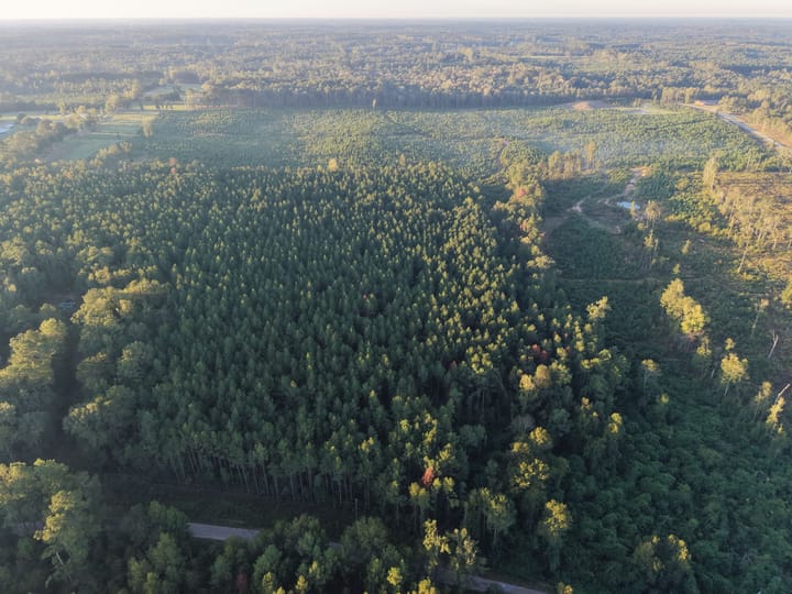 Dji Fly 20261008 073016 0213 1791554476543 Photo Jpeg
