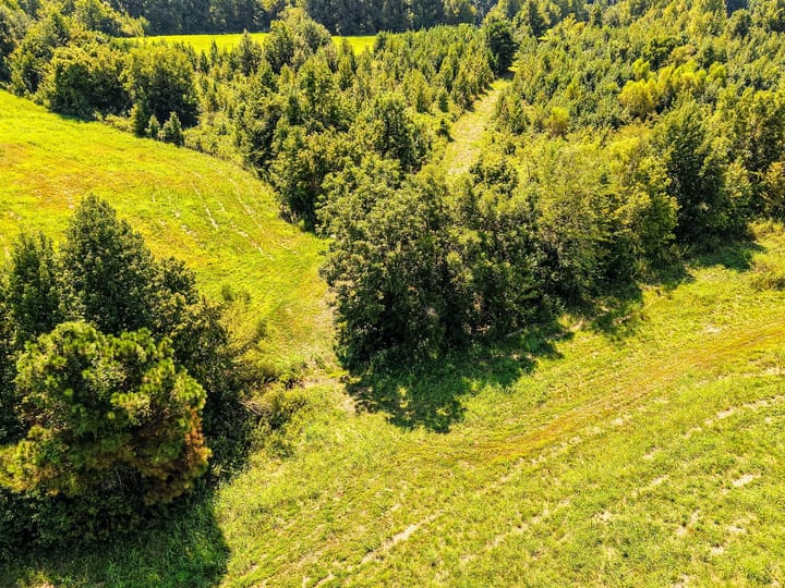 15 Dji 20260902113518 0048 D