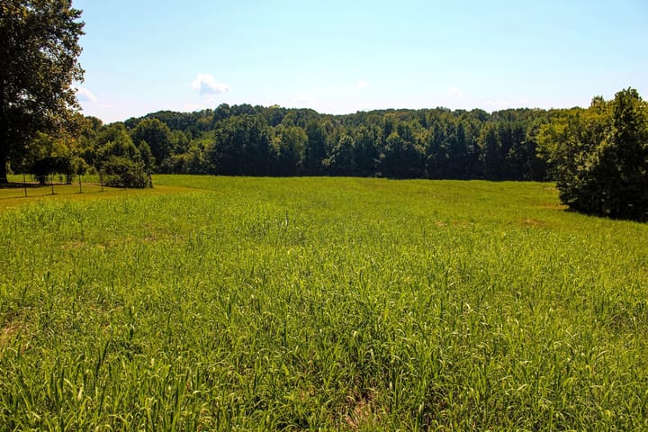 5 Img 0014