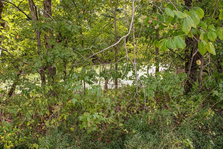 14 Img 0045