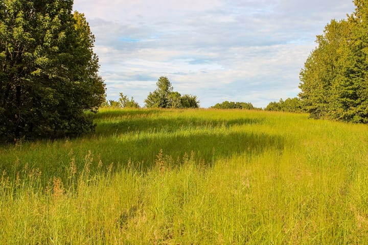 9 Img 0039