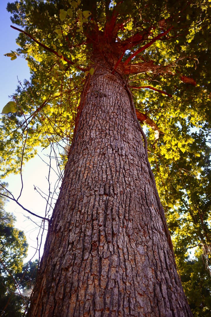 Img 7263