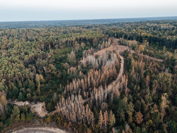 Dji 20261009060713 0041 D Hdr