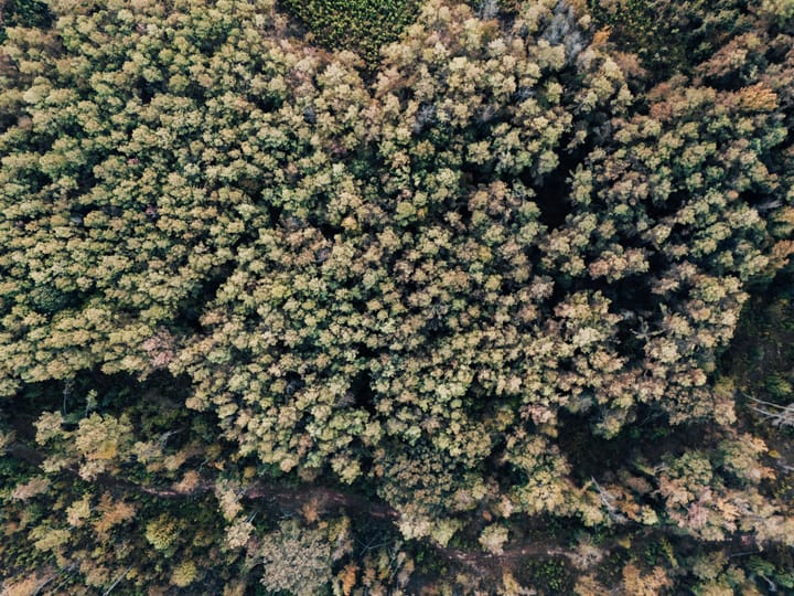 Dji 20261009061114 0061 D Hdr