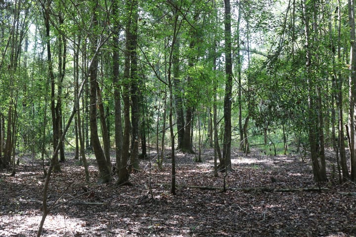 Img 7368 Jpg