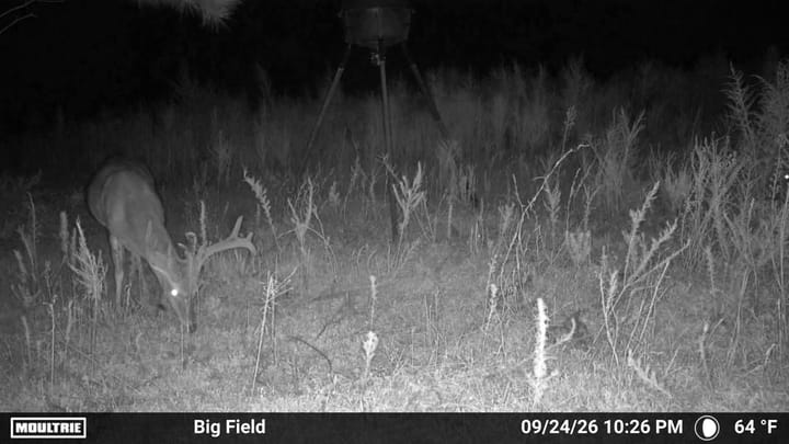 Photo Sep 24 2026 10 26 30 Pm