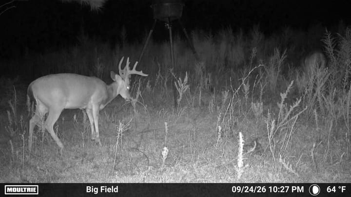 Photo Sep 24 2026 10 27 36 Pm