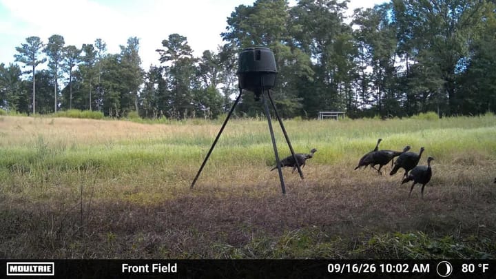 Photo Sep 16 2026 10 02 26 Am