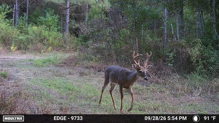 Photo Sep 28 2026 5 54 39 Pm