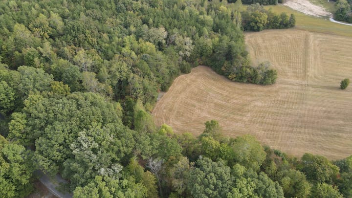 Dji 0220 Jpg