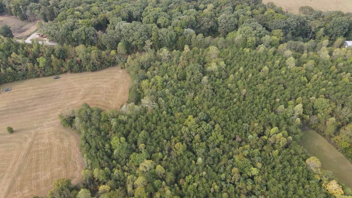 Dji 0215 Jpg