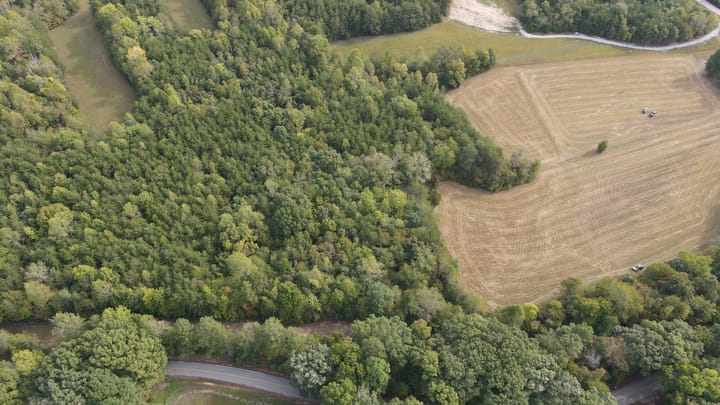 Dji 0225 Jpg