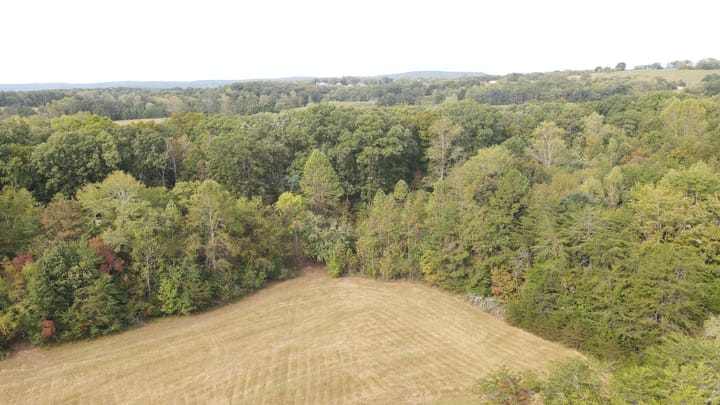 Dji 0217 Jpg