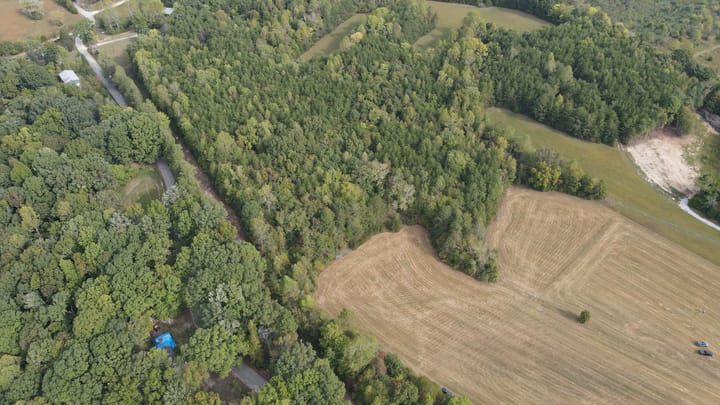 Dji 0224 Jpg