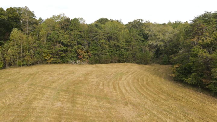 Dji 0219 Jpg