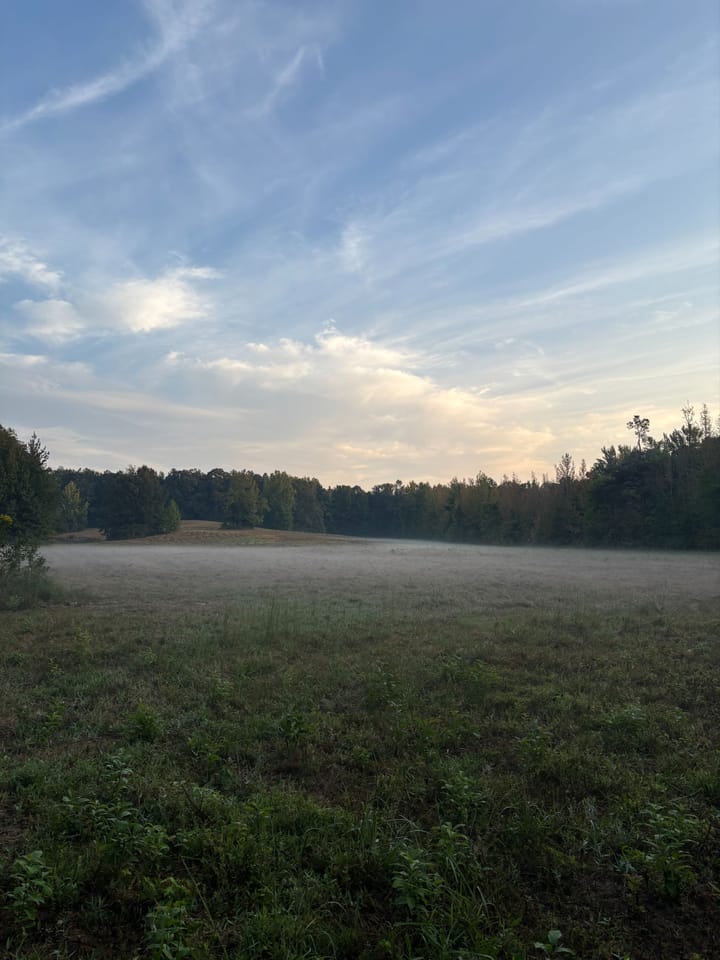 Img 0699