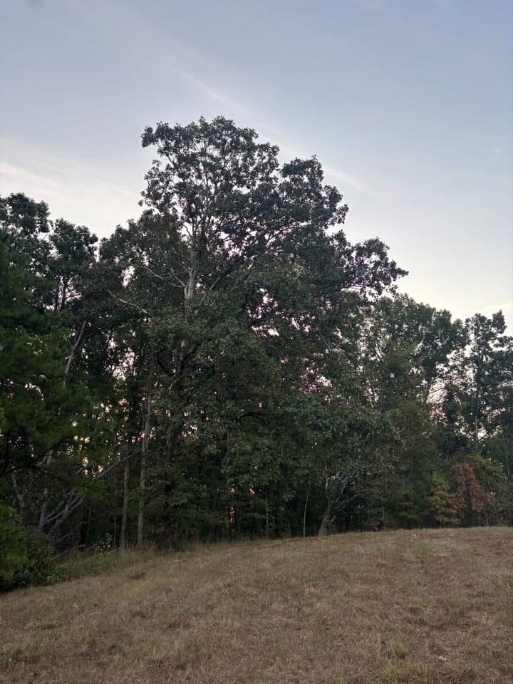 Img 0691