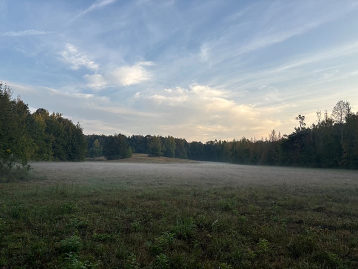 Img 0700