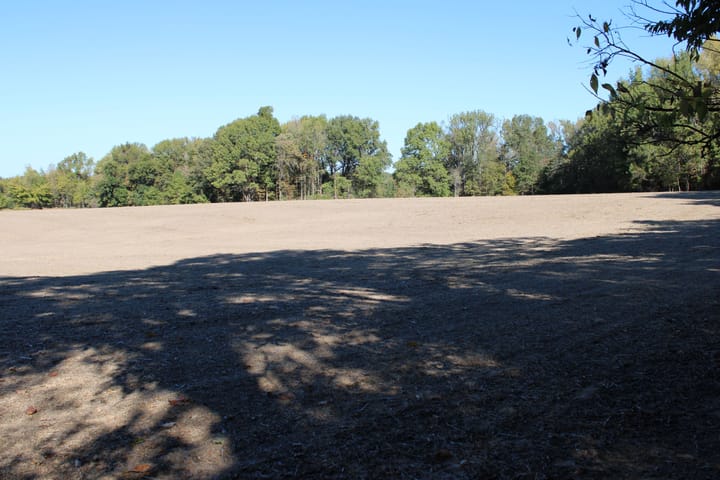 Img 0088 Jpg