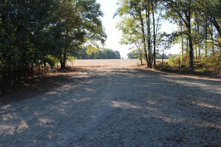 Img 0078 Jpg