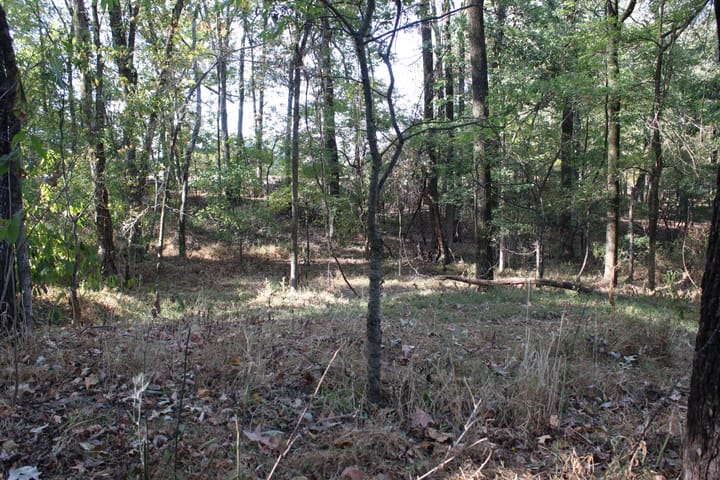 Img 0074 Jpg