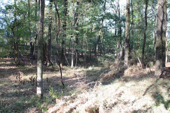 Img 0075 Jpg