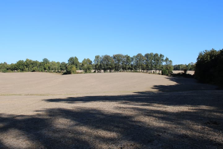 Img 0071 Jpg