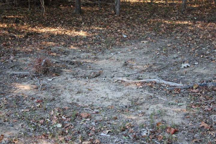 Img 0086 Jpg