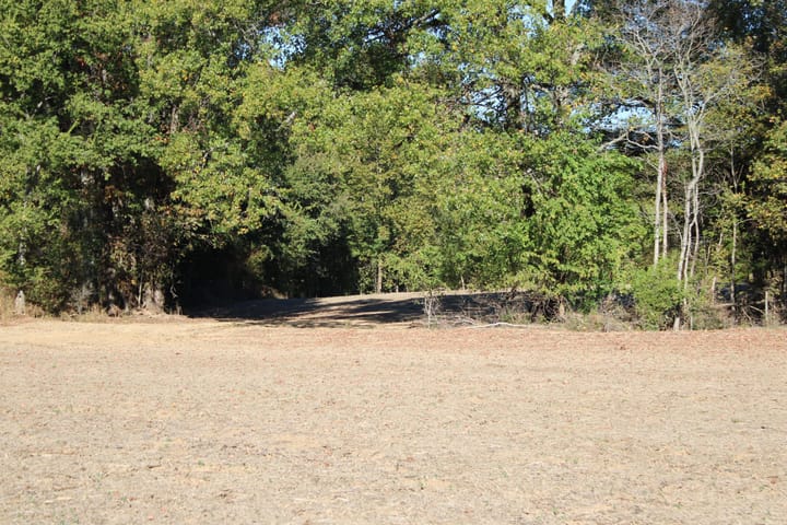 Img 0085 Jpg