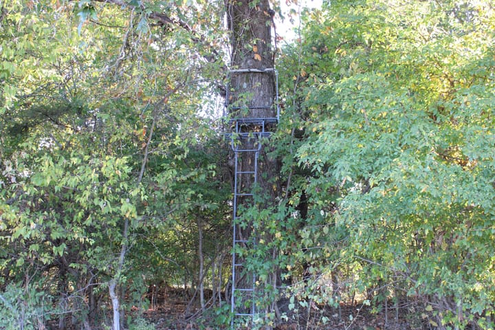 Img 0087 Jpg