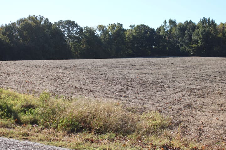 Img 0064 Jpg