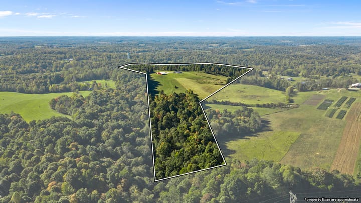 8 Web Or Mls Dji 20261005093955 0035 D Copy