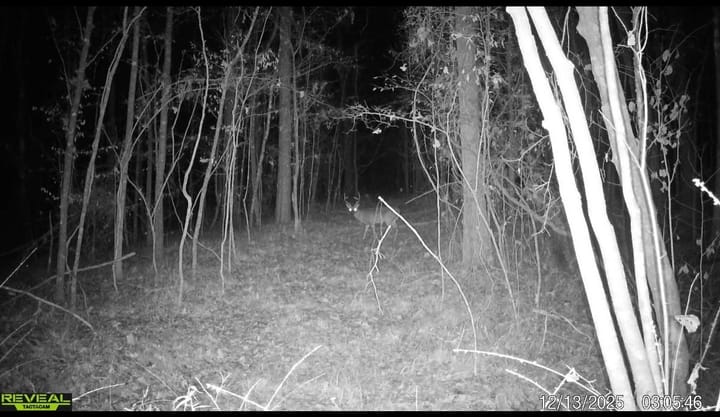 Photo Oct 19 2026 4 27 23 Pm