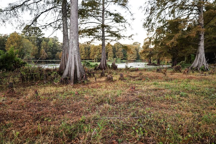 Lake20