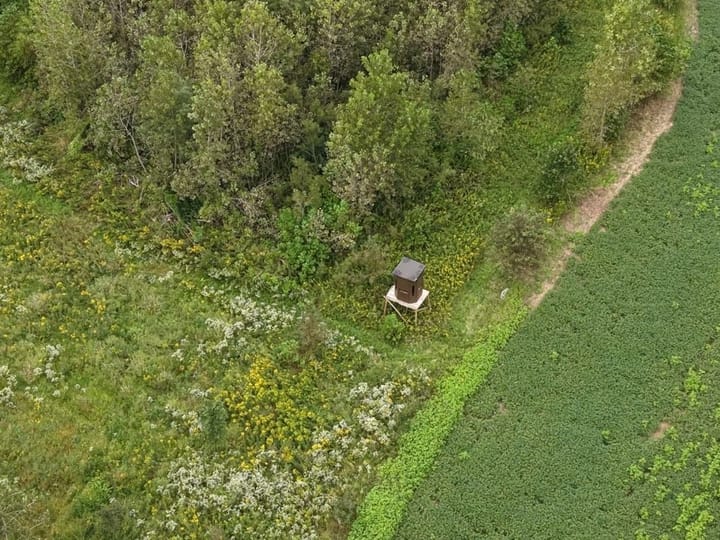 Dji 20260913162425 0293 D 1067x800