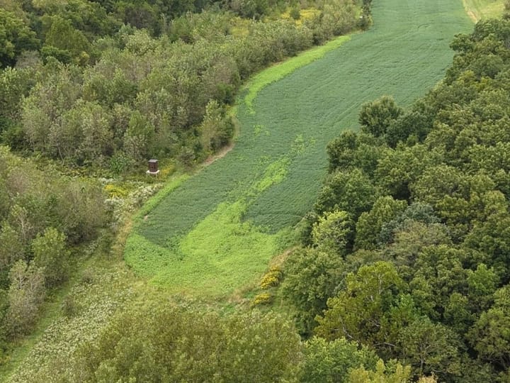 Dji 20260913162353 0292 D 1067x800