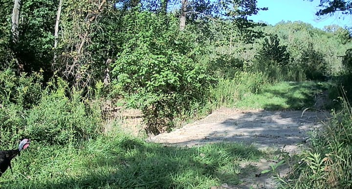 Imag0018 1 