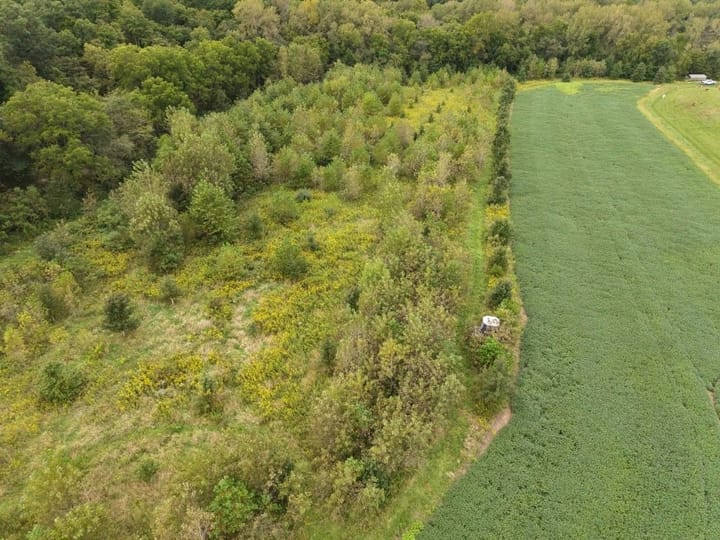 Dji 20260913162530 0296 D 1067x800
