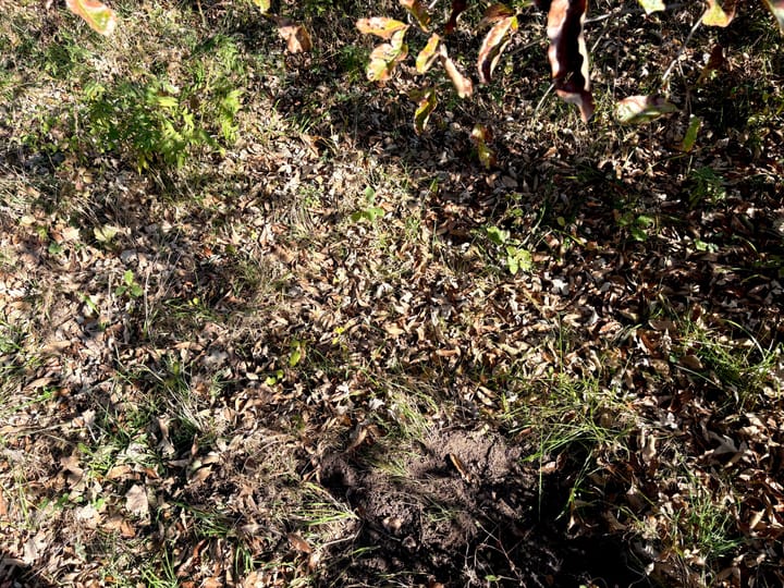 Image00055 Jpeg