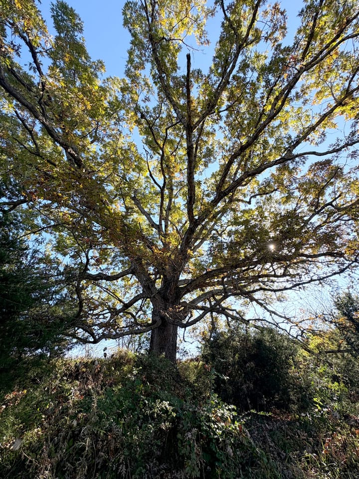 Image00024 Jpeg