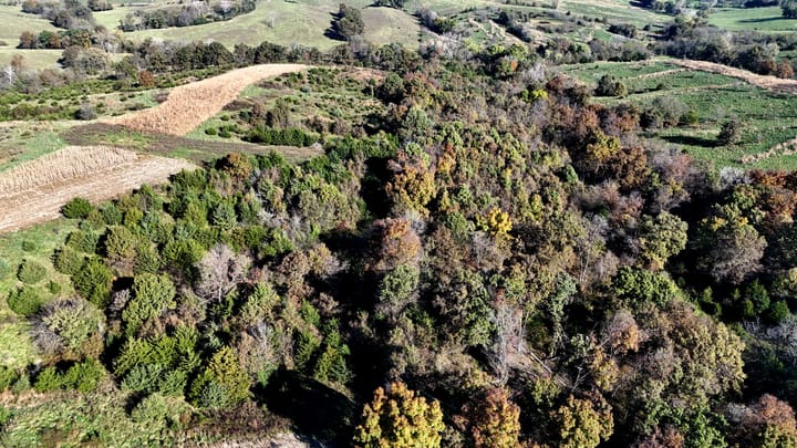 Dji 20261022101241 0568 D Jpg