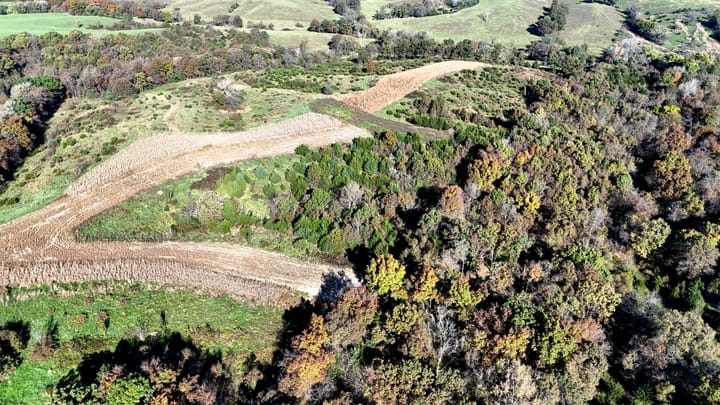 Dji 20261022101321 0571 D Jpg
