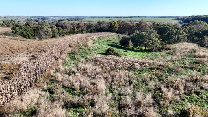 Dji 20261022102352 0602 D Jpg